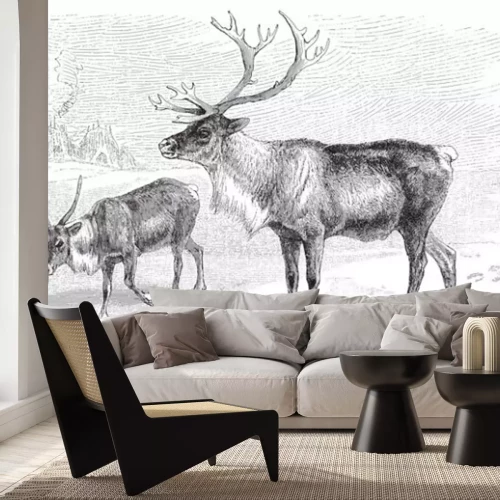 Sticker Reindeer (Rangifer tarandus) / vintage illustration from Meyers Konversations-Lexikon 1897