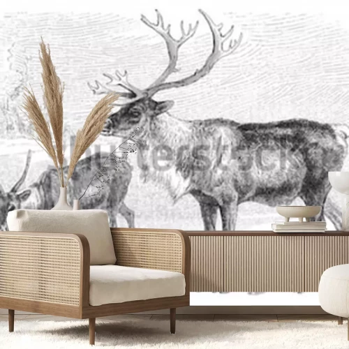 Sticker Reindeer (Rangifer tarandus) / vintage illustration from Meyers Konversations-Lexikon 1897