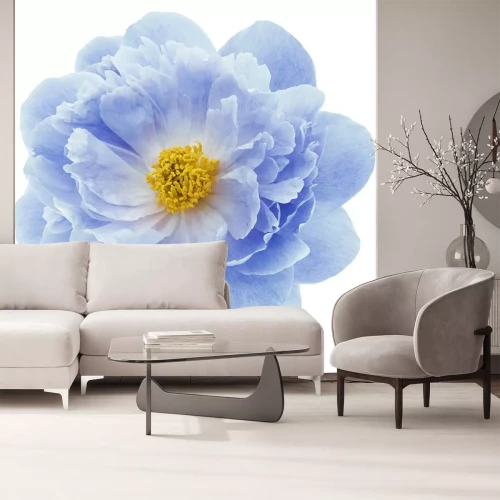 Sticker Pioenroos in een delicate kleur