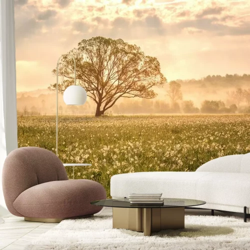 Fotobehang Amazing nature landscape with single tree and flowering meadow of white wild growing narcissus flowers in morning dew at sunrise. Daffodil valley, nature reserve near Khust, Transcarpathia, Ukraine