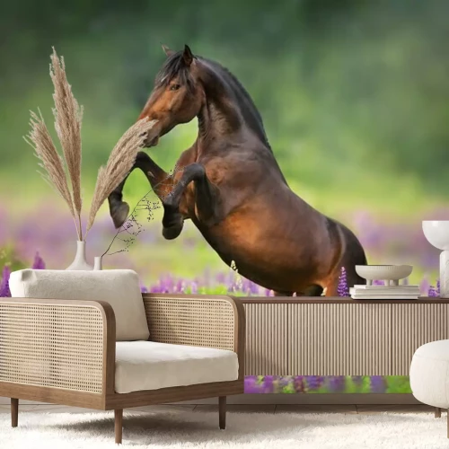 Fotobehang Een paard steigert in een lavendelveld