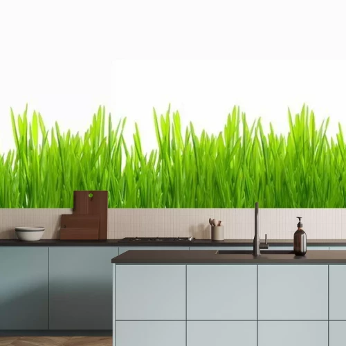 Fotobehang Vers groen jong gras