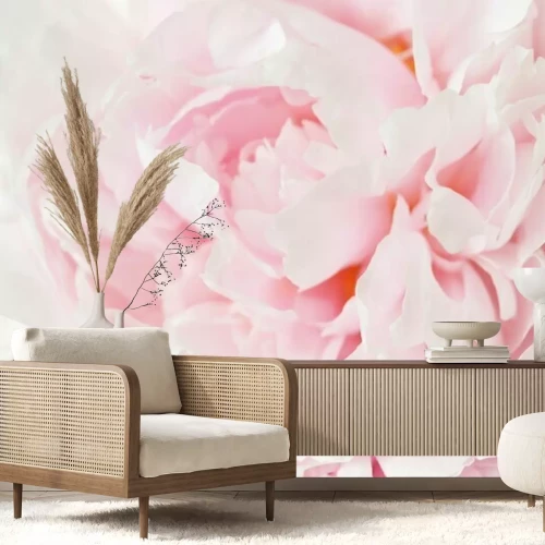 Fotobehang Roze pioen macro