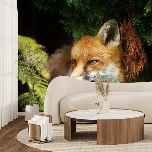 Fotobehang Vos in de bosjes