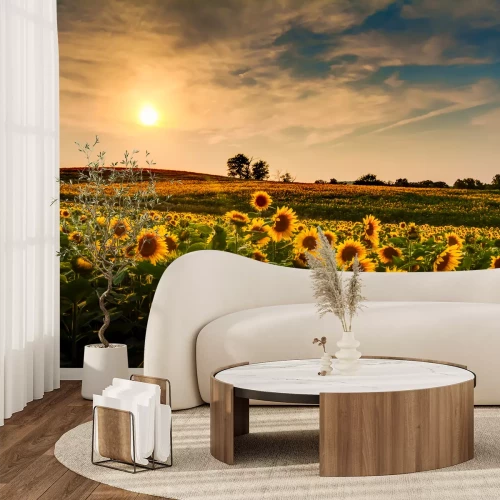 Fotobehang Veld met zonnebloemen