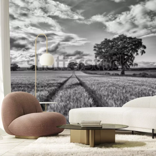 Fotobehang Zwart-wit veld