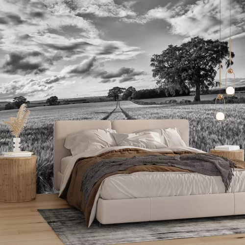 Fotobehang Zwart-wit veld