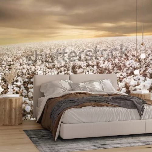 Fotobehang Veld van witte bloemen