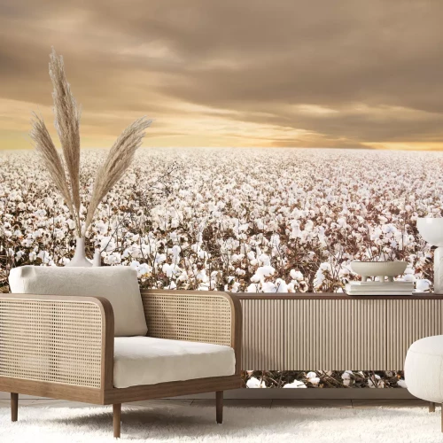 Fotobehang Veld van witte bloemen