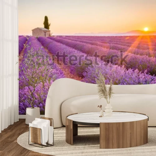 Fotobehang Lavendel veld en zonsondergang