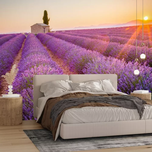 Fotobehang Lavendel veld en zonsondergang