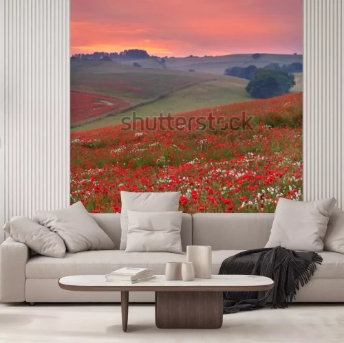 Fotobehang Bloemenveld bij zonsondergang