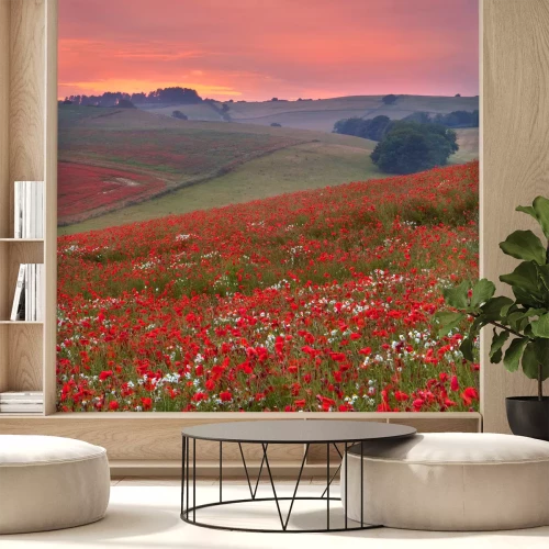 Fotobehang Bloemenveld bij zonsondergang