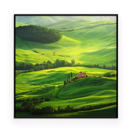 Poster De weiden en heuvels van Toscane vormen een schilderachtig landschap.