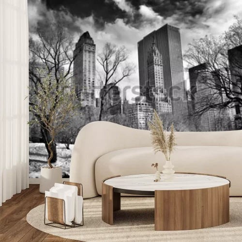 Fotobehang Gapstow Bridge in Central Park in de winter