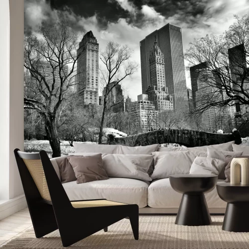 Fotobehang Gapstow Bridge in Central Park in de winter