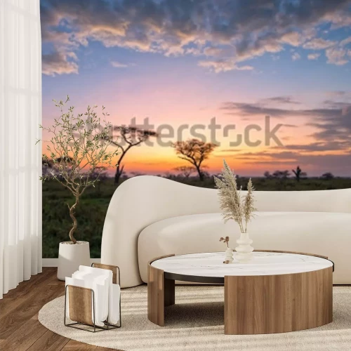 Fotobehang Fantasy African lanscape of the beautiful sunrise in savannah