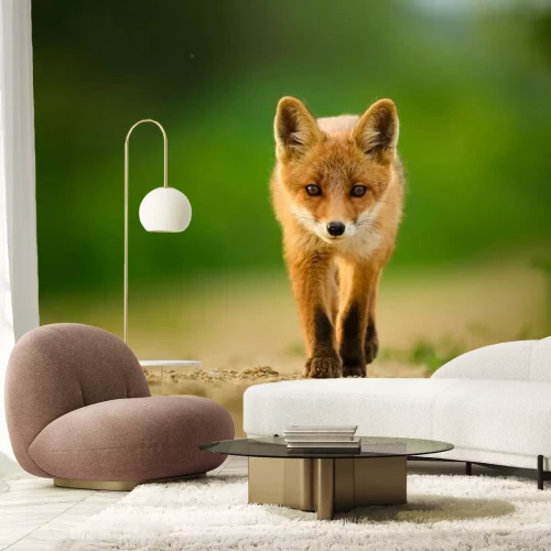 Fotobehang Kleine vos op de weg