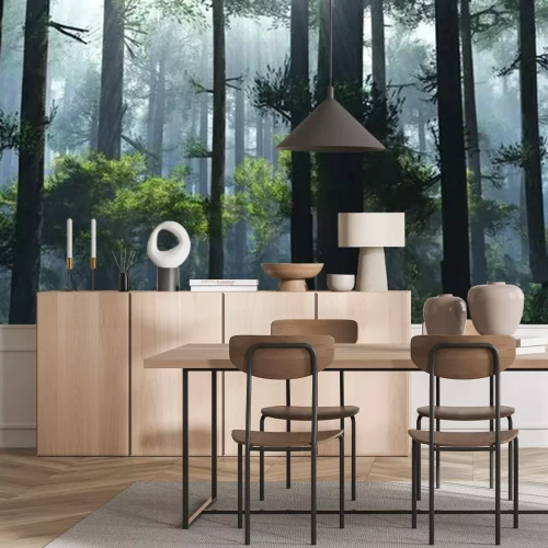 Sticker Mistige ochtend tussen de bomen