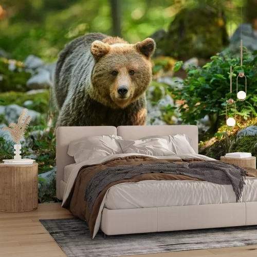 Fotobehang Beer in de bergen