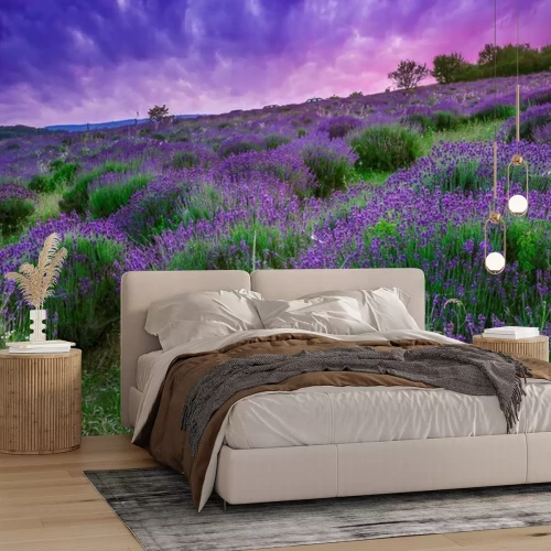 Fotobehang Paars landschap met een veld