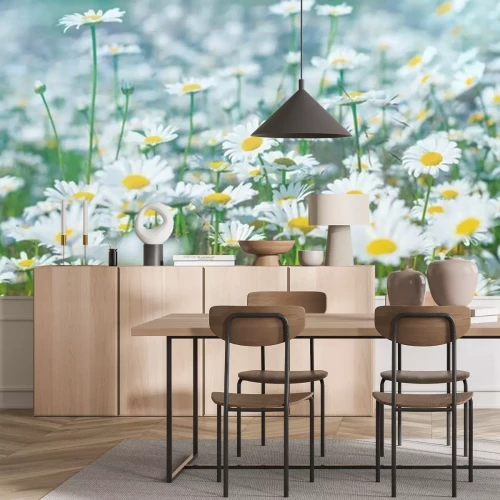 Fotobehang Gras vol madeliefjes