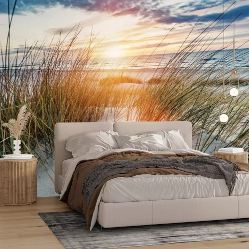 Fotobehang Duinen van de Oostzee bij zonsondergang