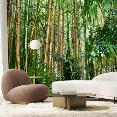 Fotobehang Bamboebos tropisch landschap