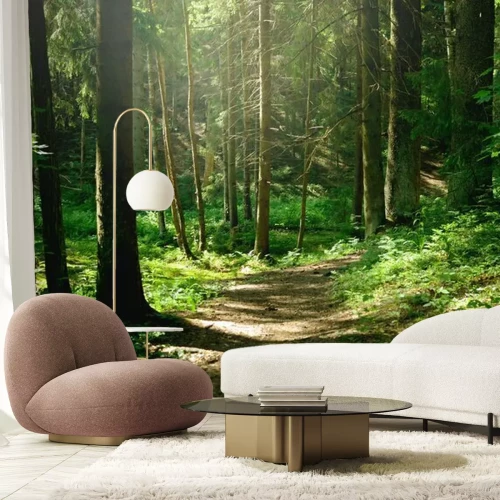 Fotobehang Bospad in het bos in de zomer