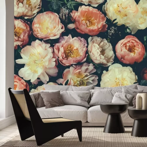 Fotobehang Pioenroosbloemknoppen in gedempt roze en wit