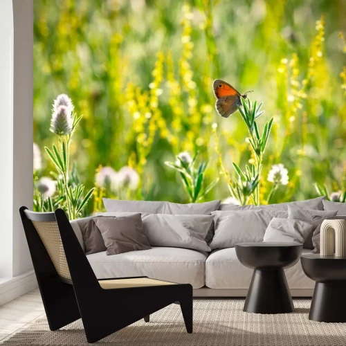 Fotobehang Vlinder en bloemen in een weide