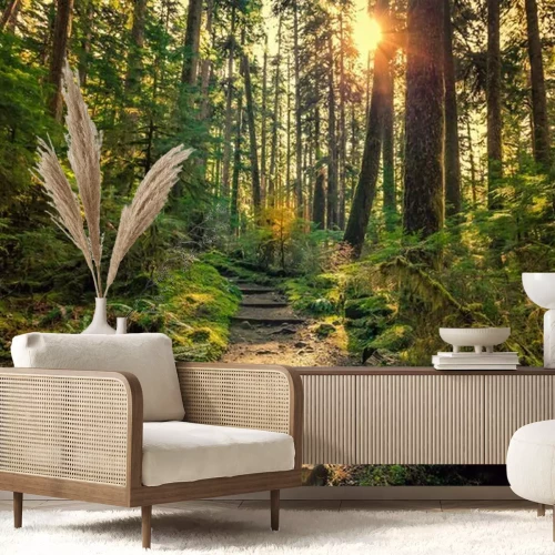 Fotobehang Olympisch Nationaal Park op een zonnige dag