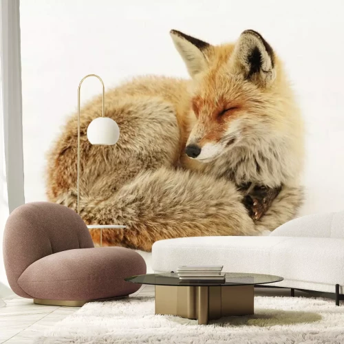 Fotobehang Vos in witte sneeuw