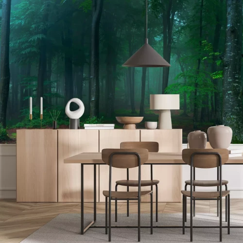 Fotobehang Landschap in de mist