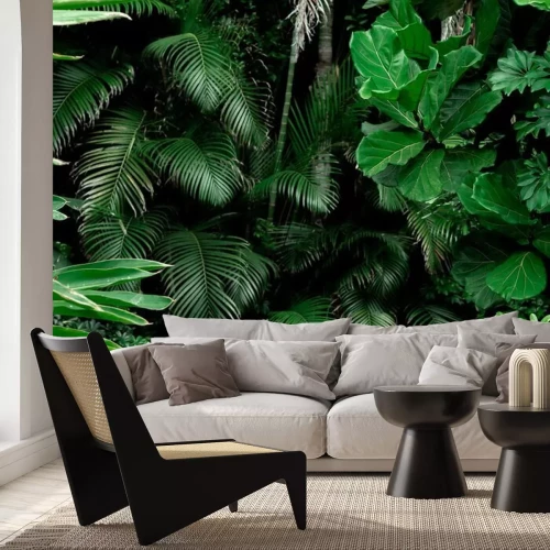 Fotobehang Groene planten in de jungle