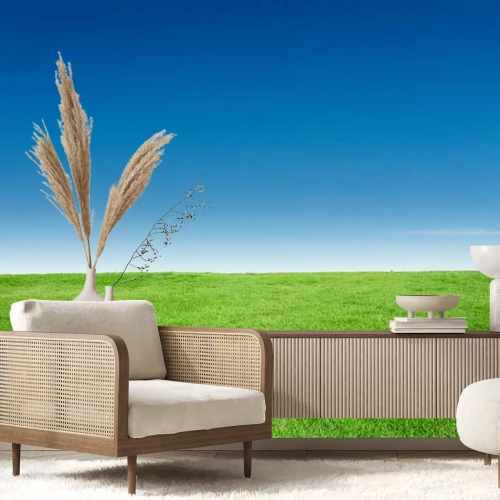 Fotobehang Groen gras tegen de lucht