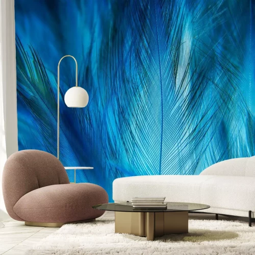 Fotobehang Macrotextuur van blauwe veren