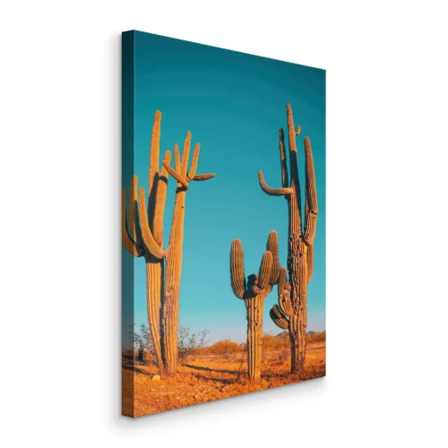 Canvas Cactussen in een woestijnlandschap bij zonsondergang