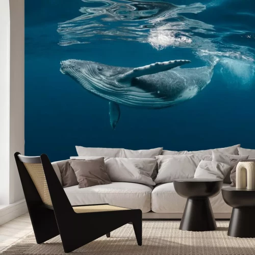 Fotobehang Vis in blauw water