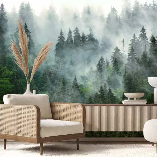 Fotobehang Donkergroen mistig bergbos