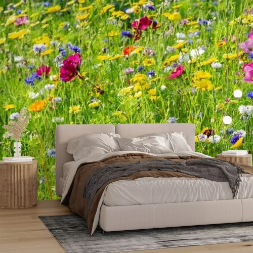 Fotobehang Weide vol kleurrijke bloemen