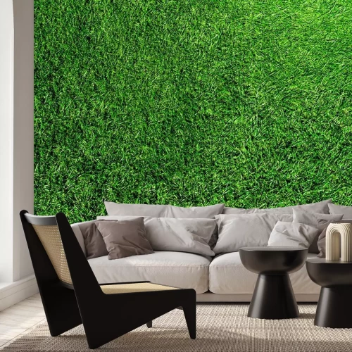 Fotobehang Groen gazon