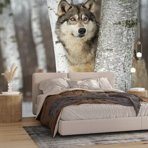 Fotobehang Grijze wolf in het bos