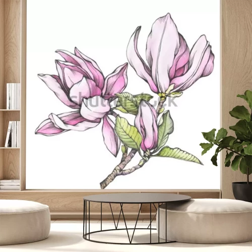 Sticker Tekening van een roze magnolia