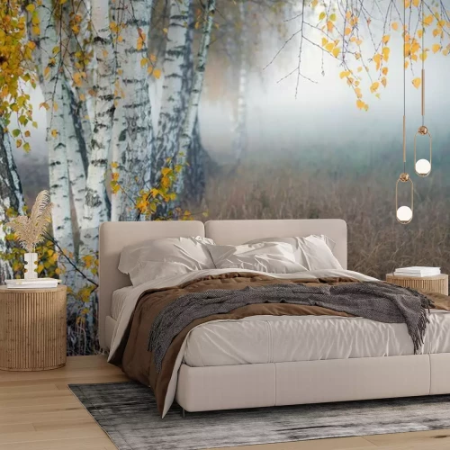 Fotobehang Row of birch trees with yellow leaves in the fog. Selective focus..