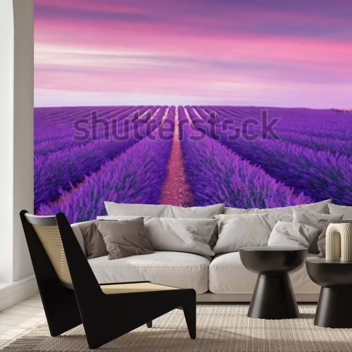Fotobehang Veld met paarse lavendel