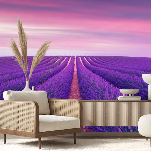 Fotobehang Veld met paarse lavendel