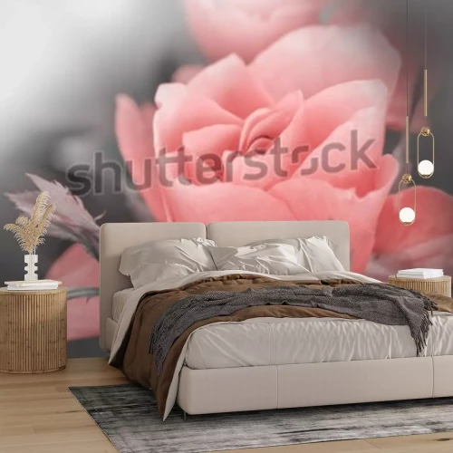 Sticker Poederachtige roos