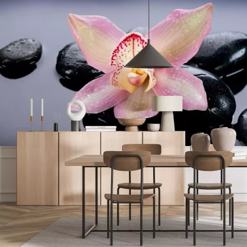 Sticker Zen stenen en orchidee Bloem. Stone Massage
