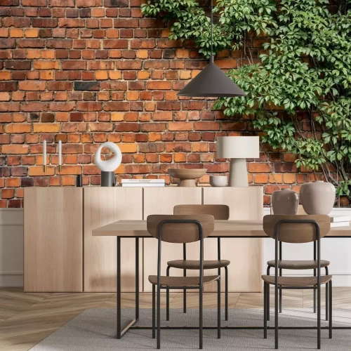 Fotobehang Klimop op oranje muur